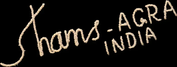 Embroidered inscription Shams, Agra, India